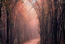 天博体育:巴特:曼联涨票价就是饮鸩止渴;28年英超夺冠的目标并不现实.