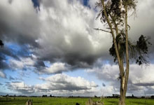 天博体育：队报预测法国队首发：姆巴佩、登贝莱、穆阿尼三箭齐发.