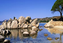 天博体育：金球奖官方社媒被冲：小熊值得金球奖，抢劫！.